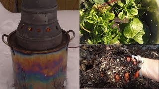 How I Get My Gardening Fix in the Winter [upl. by Wiese296]