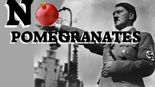 NEIN POMEGRANATES  Meme NO POMEGRANATES [upl. by Anaderol]