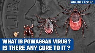 Powassan Virus What is this rare and deadly virus that has alarmed US authorities  Oneindia News [upl. by Codee]