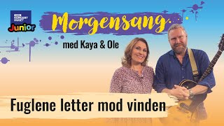 Fuglene letter mod vinden  Morgensang [upl. by Andrea343]