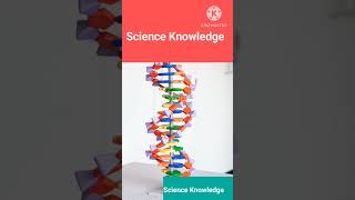 Science Knowledge  shrtsfeed facts shfacts [upl. by Ronna]