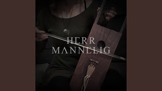 Herr Mannelig Tagelharpa amp Ritual Drum [upl. by Nosyt186]