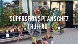 96 Super bons plans au Truffaut Batignolles [upl. by Zakaria]