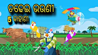 Chadhei Bhauni Special 5 kahani \\ Odia Stories \\ Bird Story \\ Odia Gapa \\ Stories [upl. by Spratt]