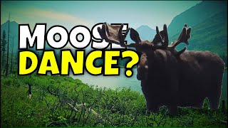 5 days in Glacier National Park EP1 moose does the happy dance [upl. by Arbe]