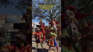 Scarecrow dance party seaworldorlando themepark halloween thingstodoinorlando spooktacular [upl. by Llerihs483]