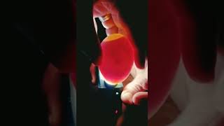 Candling a fertilised Pekin Duck Embryo [upl. by Liagabba]