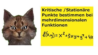 Stationäre  kritische Punkte bestimmen einer mehrdimensionalen Funktion [upl. by Ezechiel]