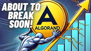 Algorand ALGO Crypto Coin Is About To Break Soon [upl. by Leinahtan707]