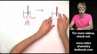 Food Calorimetry Lab Explanation [upl. by Bloem979]