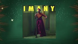 Imany  Wonderful Life Stream Jockey Rework Audio [upl. by Tella287]