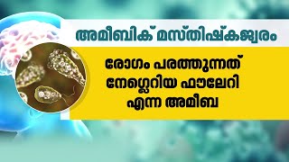 എന്താണ് അമീബിക് മസ്തിഷ്ക ജ്വരം രോ​ഗ ലക്ഷണങ്ങൾ എന്തൊക്കെ  Amoebic Meningoencephalitis [upl. by Llehcor]