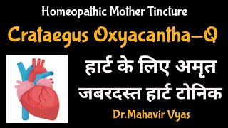 Crataegus OxyacanthaQ  Homeopathic Mother Tincture  DrMahavir Vyas [upl. by Breed]