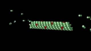 Taxol Mechanism of action [upl. by Aihsenal804]