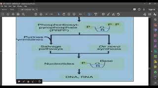 L86 Pyrimidines Synthesis [upl. by Latreece]