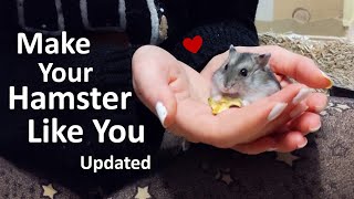 How to Tame Your Hamster and Make Them Like You  UPDATED [upl. by Gordy672]