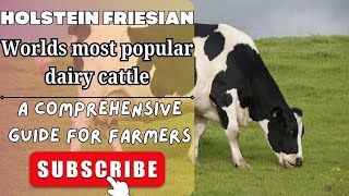 Holstein Friesian Cattle A Comprehensive Guide for Farmers [upl. by Latoyia]