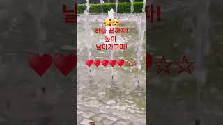 작전명청춘잔나비😍🥰🤩🥰🥰🤩🤩 [upl. by Reeva]