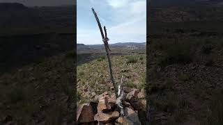 CERRO PEDERNERA RITUAL [upl. by Nevad]