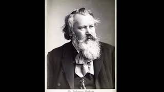 Schicksalslied Op 54  Johannes Brahms Canción del destino [upl. by Daas957]