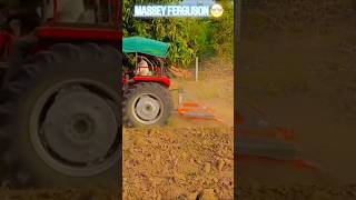 😍 MASSEY FERGUSON 241 🤴 masseyferguson tektarlover🚜 kkhetibadi🌱🌾 tekatar masseylovers [upl. by Hymen]