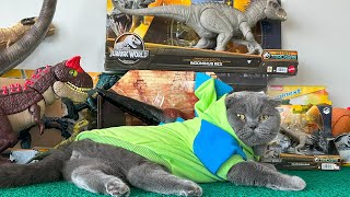 Unboxing Review Jurassic World Toys ASMR  HUGE Bumpy Mystery Box TREX Indoraptor Indominus Rex [upl. by Eilsel799]