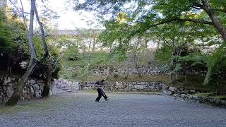 琉球古武道釵術 二丁サイ ryukyukobudo saijutsu nichosai 忍者 ninja 京都 kyoto [upl. by Mcneely]