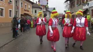 Wertach Faschingsumzug 2014 [upl. by Yartnod]