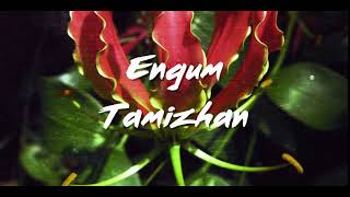 Tamil Eelam Song  Engum Tamizhan [upl. by Armillda877]