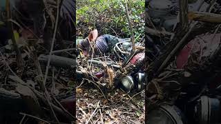 Cutting a Tree Out That Grew Into a Motorcycle shorts [upl. by Shelah]