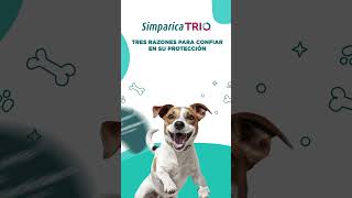 Simparica Trío  Máxima protección para tu mascota [upl. by Lupee]