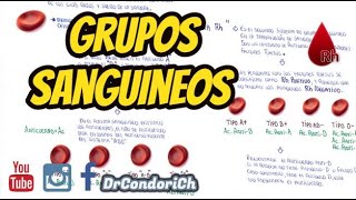 Grupos Sanguineos Tipos de sangre  Sistema ABO y sistema Rh [upl. by Leland]