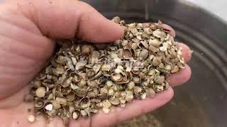 2021 Hemp Seeds Dehulling MachineSacha Inchi Nuts Dehuller Sheller Machine [upl. by Farley]