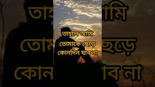 Akta somoy chilo Bengali sad shayari 😢😢😢 akash badyakar sad shayari Bangla shorts trending [upl. by Mellar]