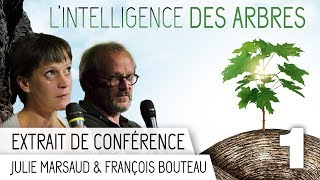 LIntelligence des Arbres  Conférence du 240917  Extrait 1 [upl. by Virnelli]