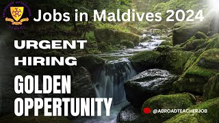 teaching jobs in maldives 2024  Urgent Hiring [upl. by Tecu]