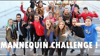 BEST MANNEQUIN CHALLENGE IN PUBLIC   MannequinChallenge [upl. by Jos]