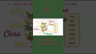 Science Lets label the Parts of Plants CorrectlyDiagram [upl. by Meyers361]