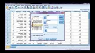 Cross tabs in SPSS [upl. by Dub810]