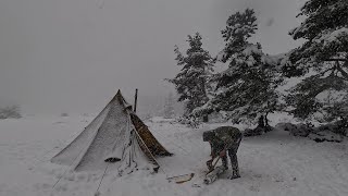 Hot Tent Camping with my Dog in Snow and Freezing Winter Conditions [upl. by Fabri]