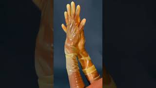 Latex Gloves ASMR [upl. by Almat]