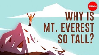 Why is Mount Everest so tall  Michele Koppes [upl. by Atnoed]