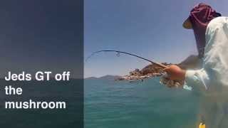 Fishing Hinchinbrook island  GTs off Goold Island [upl. by Lemor]