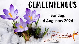 Gemeentenuus vir 4 Augustus 2024  Stilbaai NG Gemeente [upl. by Kcirded]