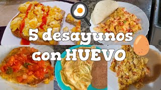 5 Desayunos con HUEVO 🥚 faciles y saludables chelinvlogs cocinafacil [upl. by Thera]