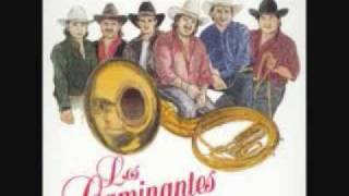 los caminantes con banda tu mirada0001wmv [upl. by Gregory485]