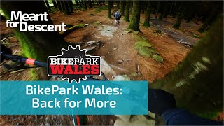 Bike Park Wales  Red Blue amp Green Grade MTB trails [upl. by Atirys]