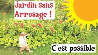 Un potager sans arrosage cest possible [upl. by Nalod]