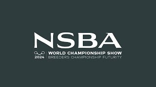 2024 NSBA World Show Monday August 12 Mustang Arena [upl. by Noned]