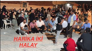 HARİKA İKİ HALAY AŞAĞIPİRİBEYLİ EMİRDAĞ AFYON TÜRKİYE [upl. by Samy]